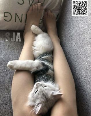 卖肉的灰姑娘_BD国语在线观看高清